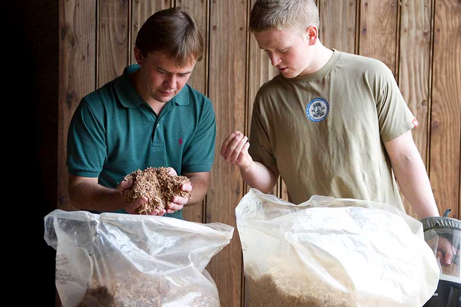 Making Briquettes
